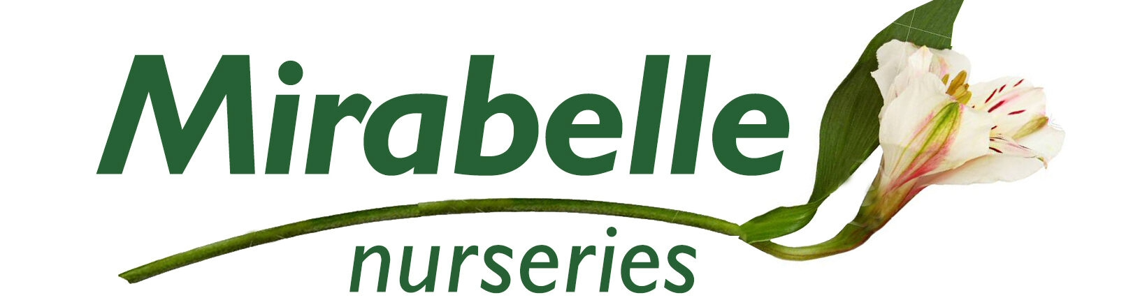 Mirabelle Nurseries Logo